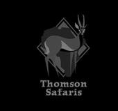 Thomson Safaris